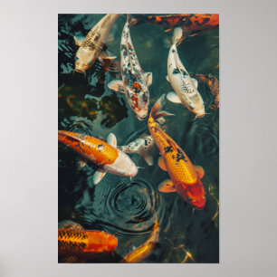 Zen Koi Fish Poster: 31 Negen 2 Koi Vissen Zwemmen Poster