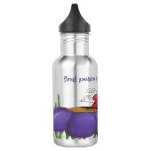 Zen Ladybug Waterfles (Links)