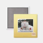 Zen Mastah Magneet (Voorkant / Achterkant)