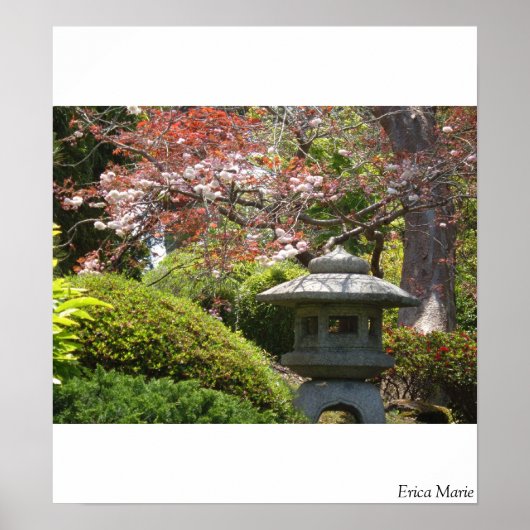 Zen Moment in SF Poster (Voorkant)