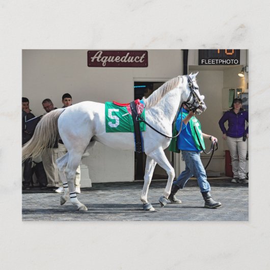 Zen Papa Briefkaart (Voorkant)