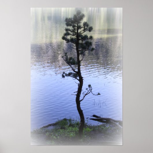 Zen Reflectie - Poster van water en bomen (Voorkant)