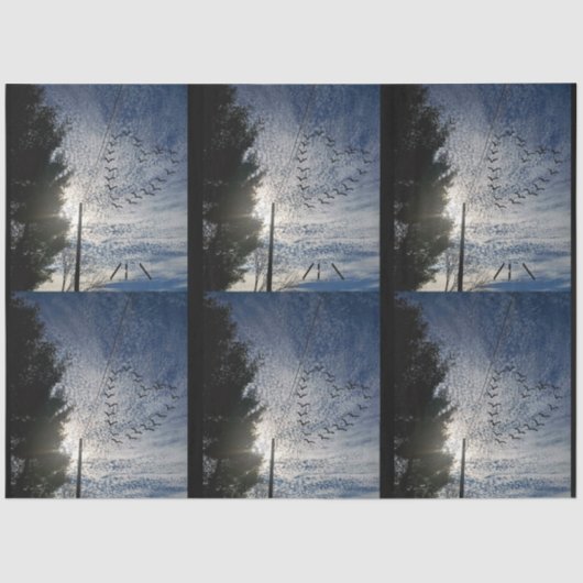 ZEN TISSUEPAPIER (Voorkant)