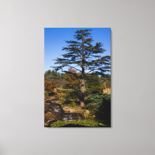 Zen Tree Portrait Canvas Afdruk