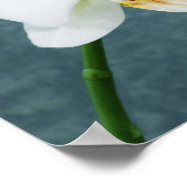 Zen White Orchid Poster (Hoek)