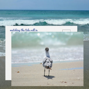 Zen Zeemeeuw bij strand Fotografisch Briefkaart