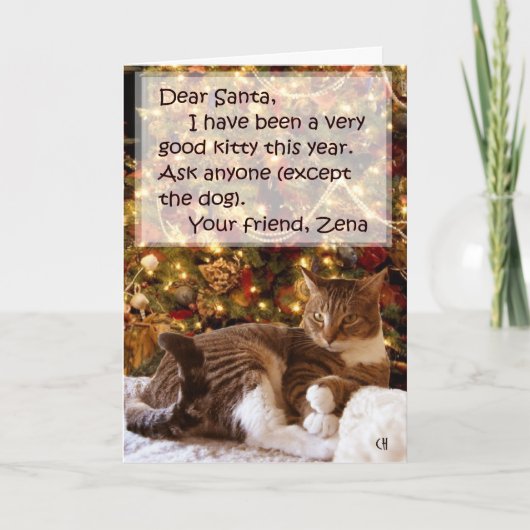 Zena onder de boom kerst Kaart (Voorkant)