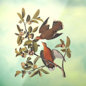 Zenaida-dove van Audubon op boomtak Raamsticker (Vel 3)