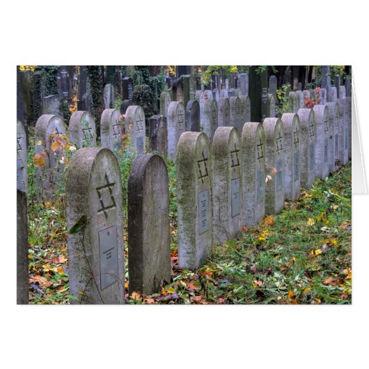 Zentralfriedhof (Devant horizontal)