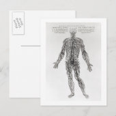 Zenuwstelsel (b/w druk) briefkaart (Voorkant / Achterkant)