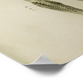 Zenuwstelsel Humaan Anatomie Afdrukken Poster (Hoek)