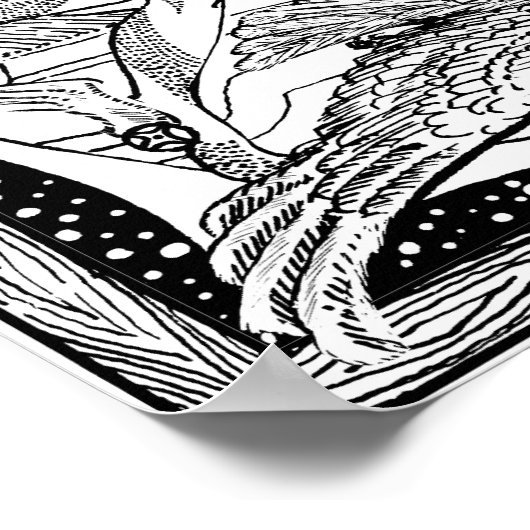 Zephyrelle Poster (Hoek)