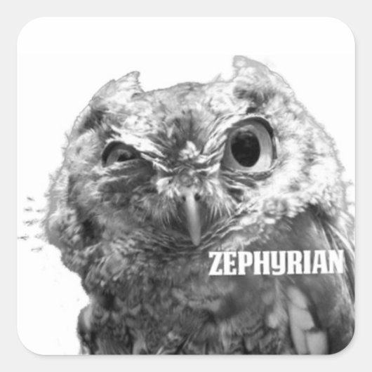 Zephyrian Uil Stickers (Voorkant)