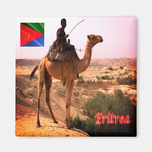 zER007 ERITREA, Camel en Rider, Afrika, Fridge Magneet (Voorkant)