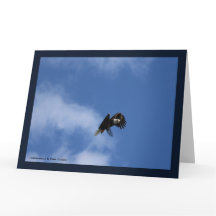 Zeroing in op de vangst