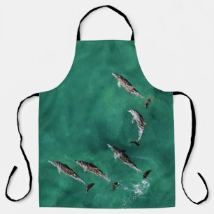 ZES DOLPHINS BIJ KALMWATER SCHORT
