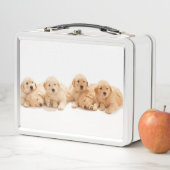 Zes Golden Retriever Puppies (In situ)