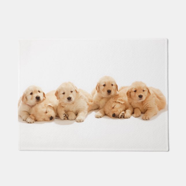 Zes Golden Retriever Puppies Deurmat (Voorkant)