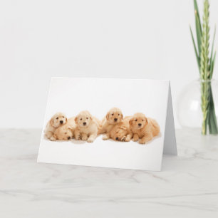 Zes Golden Retriever Puppies Kaart