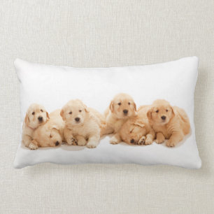 Zes Golden Retriever Puppies Kussen