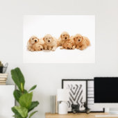 Zes Golden Retriever Puppies Poster (Thuiskantoor)