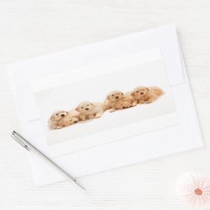 Zes Golden Retriever Puppies Rechthoekige Sticker