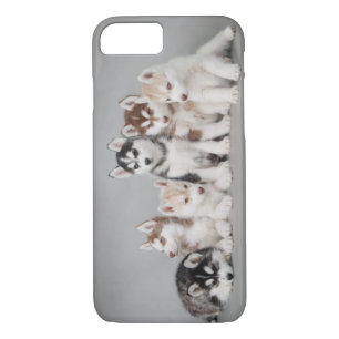 Zes huskies iPhone 8/7 hoesje