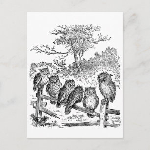 Zes kleine eigenaars zitten op een gebroken omhein briefkaart