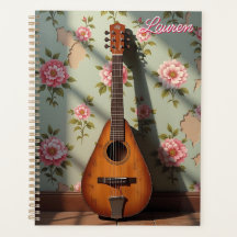 Zes-snarige Dulcimer Antiek Zeldzaam Instrument
