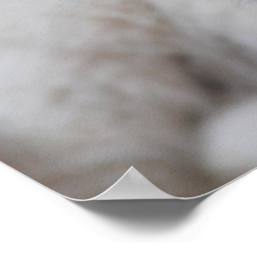 Zes weken oude witte baby leeuwenkub poster (Hoek)