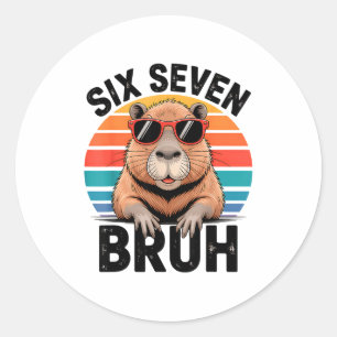 Zes Zeven Bruh 6 7 Meme Grappige Capybara 6 7  Ronde Sticker