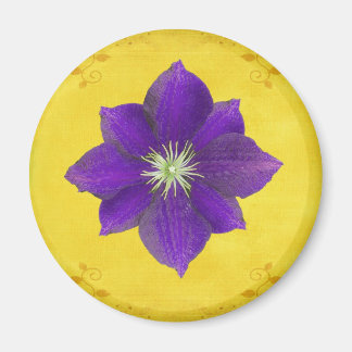 Zesde Chakra cadeau - Derde oog Magneet