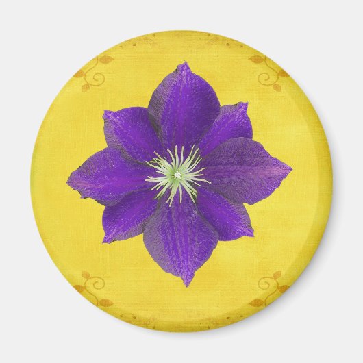 Zesde Chakra cadeau - Derde oog Magneet (Voorkant)