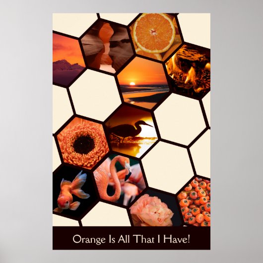 Zeshoeken Sinaasappel is alles wat ik heb! Aangepa Poster (Voorkant)