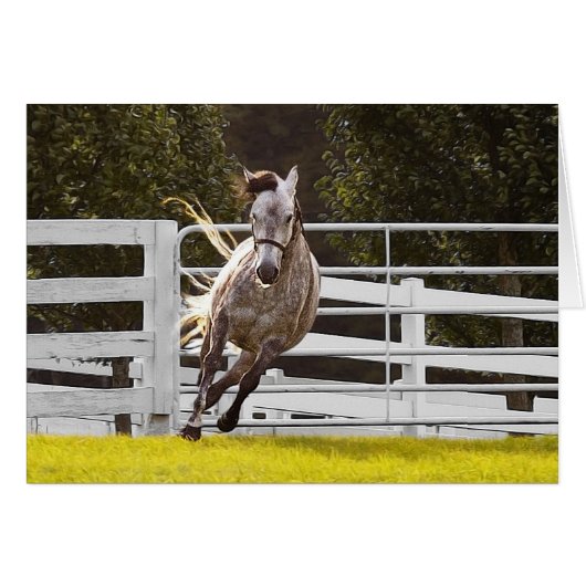 Zest for Life (Devant horizontal)