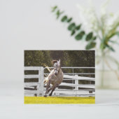 Zest for Life Briefkaart (Staand voorkant)