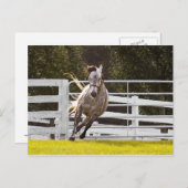 Zest for Life Briefkaart (Voorkant / Achterkant)