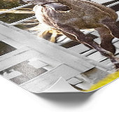 Zest for Life Foto Afdruk (Hoek)