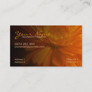 ZeSTiVE Business & Personal Card Visitekaartje