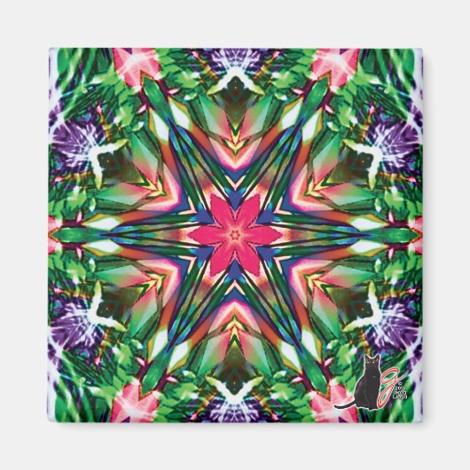 Zesty Kaleidoscope Magnet (Devant)