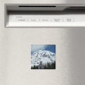 Zet Rainier op. Magneet (Insitu (Vaatwasser))