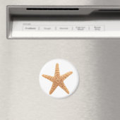 zetmeelplezier magneet (Insitu (Vaatwasser))