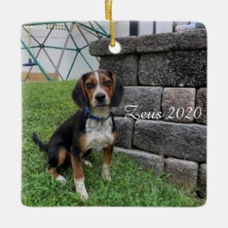 Zeus 2020 kerstversiering keramisch ornament