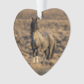 Zeus bleu à Dawn Wild Hoofbeats Ornament (devant)