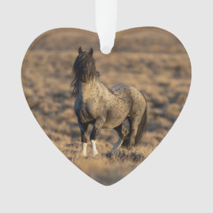 Zeus bleu à Dawn Wild Hoofbeats Ornament