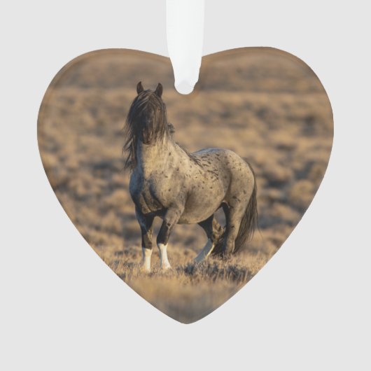 Zeus bleu à Dawn Wild Hoofbeats Ornament (devant)