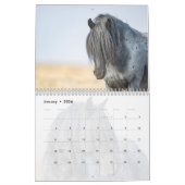 Zeus Bleu : Calendrier du coeur du désert Rouge (Jan 2026)