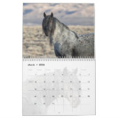 Zeus Bleu : Calendrier du coeur du désert Rouge (Mar 2026)