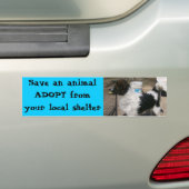 Zeus Bumpersticker (Op auto)