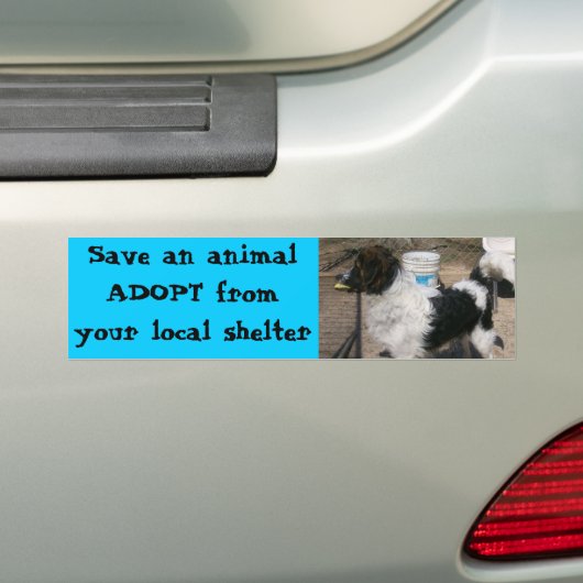 Zeus Bumpersticker (Op auto)